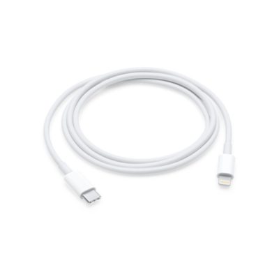 Câble Lighting vers USB (1m)